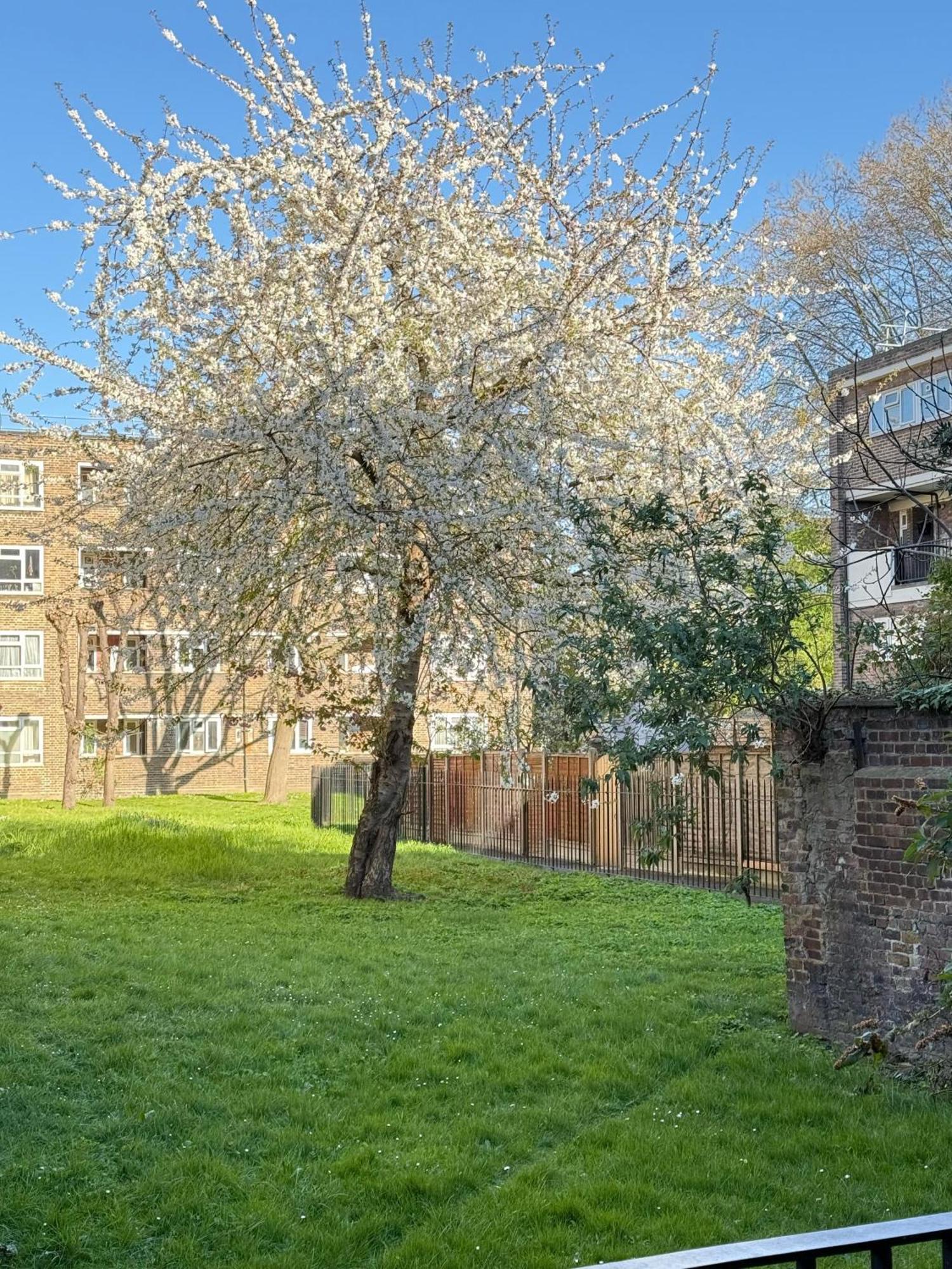 Shoreditch Apartments By Dc London Rooms Cameră foto